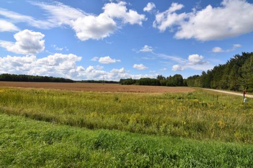 DSC_0141.JPG