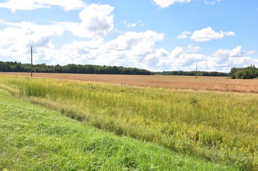 DSC_0142.JPG