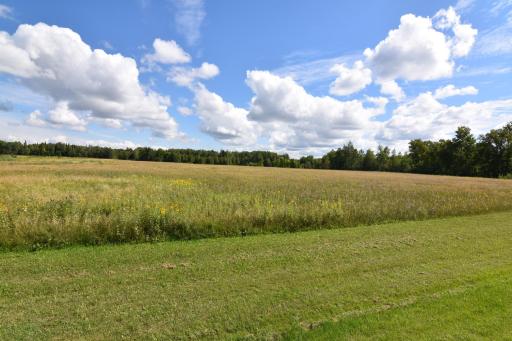 DSC_0143.JPG