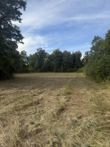 TBD Great River Road, Palisade, MN 56469