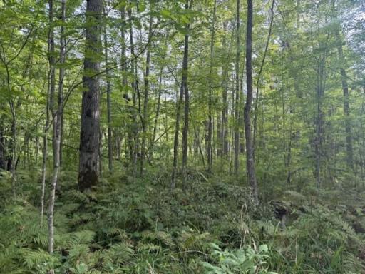TBD Great River Road, Palisade, MN 56469