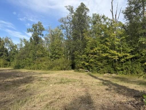 TBD Great River Road, Palisade, MN 56469