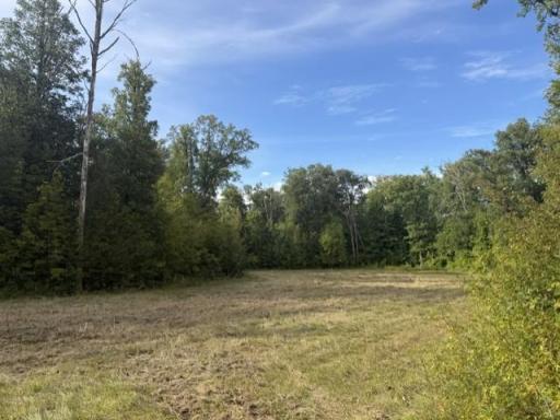 TBD Great River Road, Palisade, MN 56469