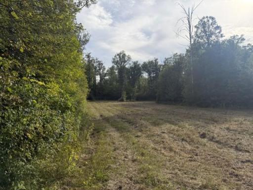 TBD Great River Road, Palisade, MN 56469