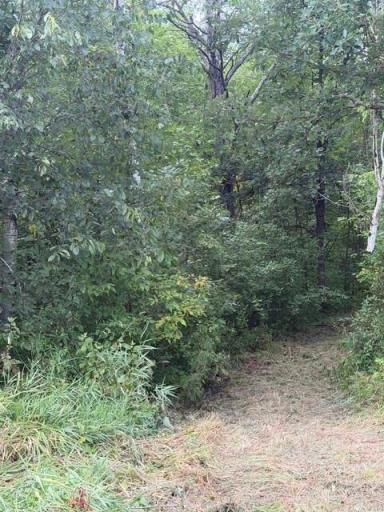 TBD Great River Road, Palisade, MN 56469