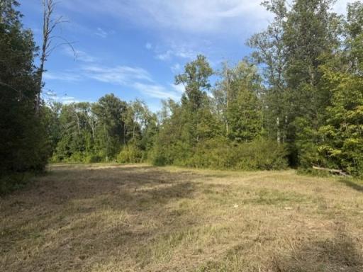 TBD Great River Road, Palisade, MN 56469