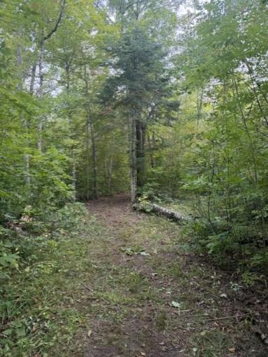 TBD Great River Road, Palisade, MN 56469