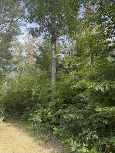 TBD Great River Road, Palisade, MN 56469
