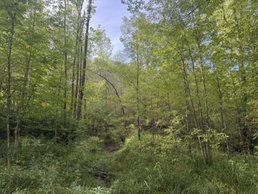 TBD Great River Road, Palisade, MN 56469