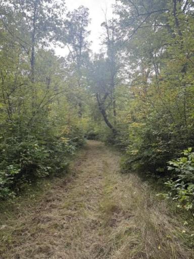 TBD Great River Road, Palisade, MN 56469