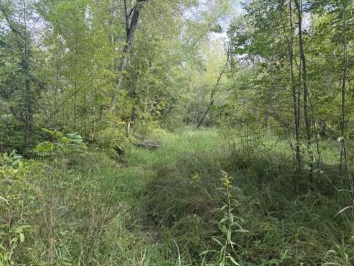 TBD Great River Road, Palisade, MN 56469