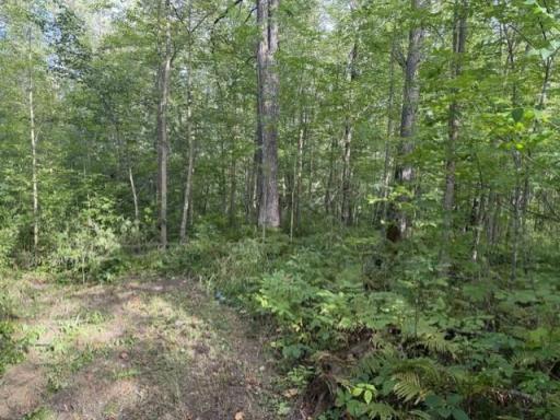 TBD Great River Road, Palisade, MN 56469