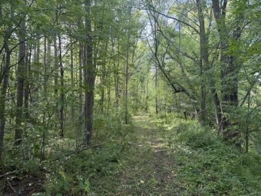 TBD Great River Road, Palisade, MN 56469