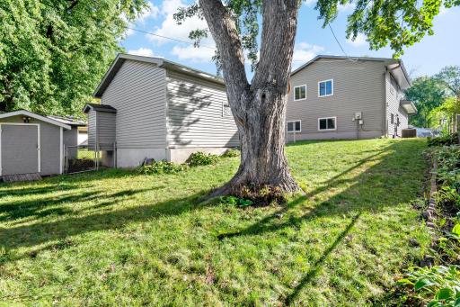 A mature shade tree anchors the backyardâperfect for summer cookouts.