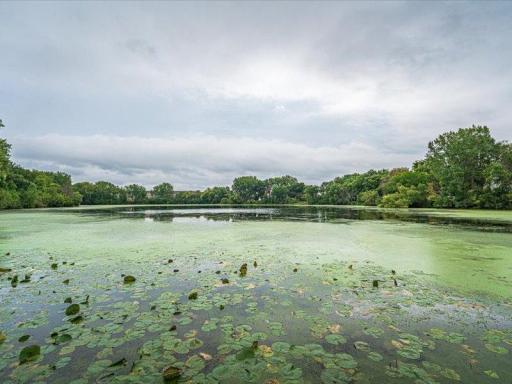 1491 Summit Shores Drive, Burnsville, MN 55306