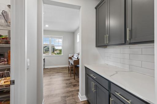 Spacious butler pantry...just off the kitchen.