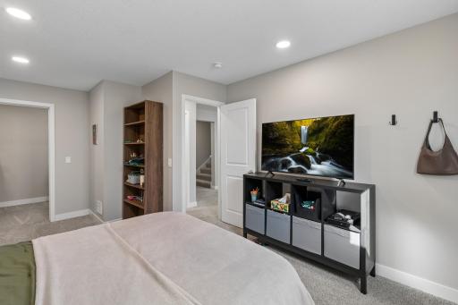 Lower level bedroom #6 with large walk-in closet