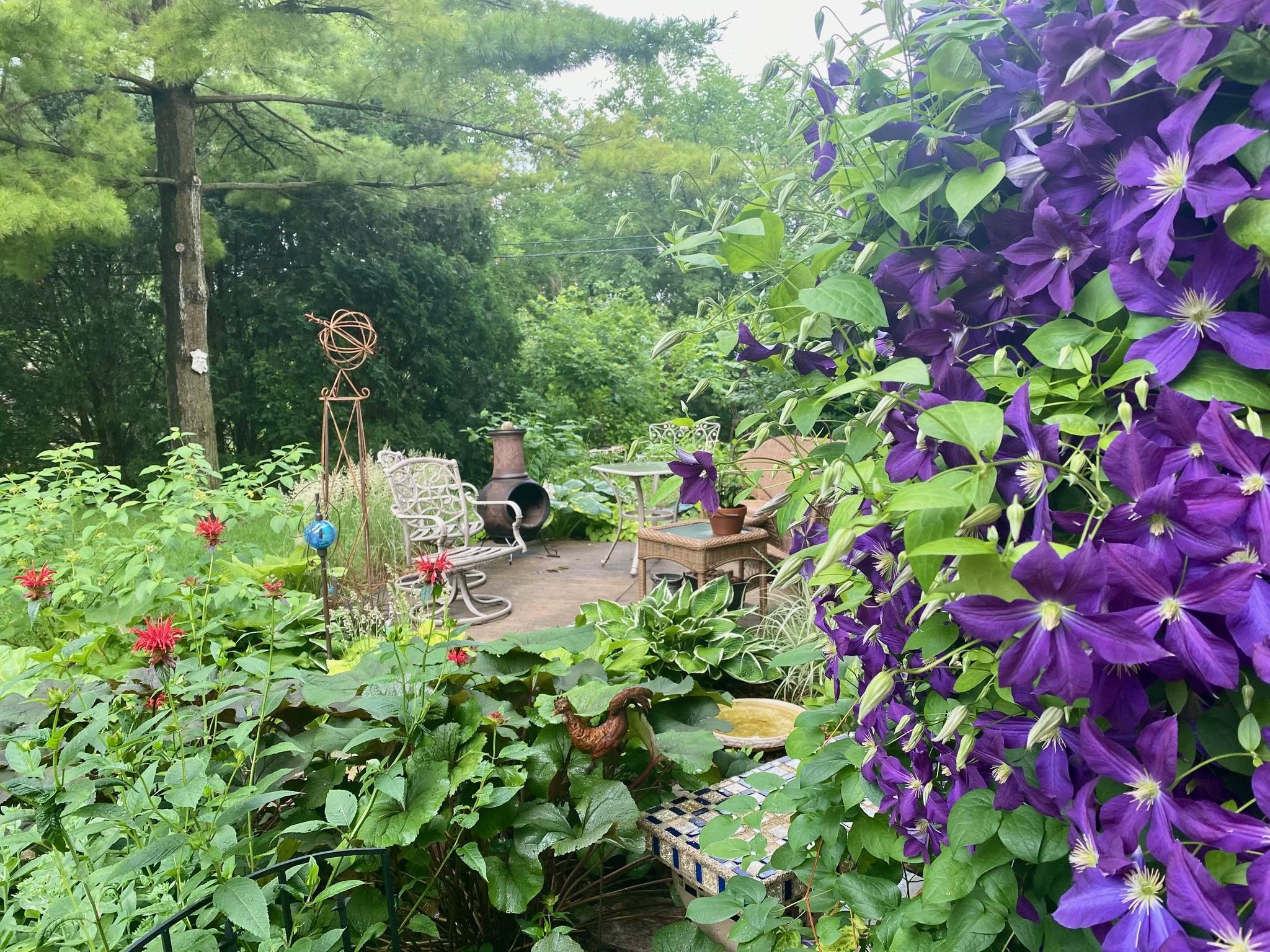 Peaceful settings