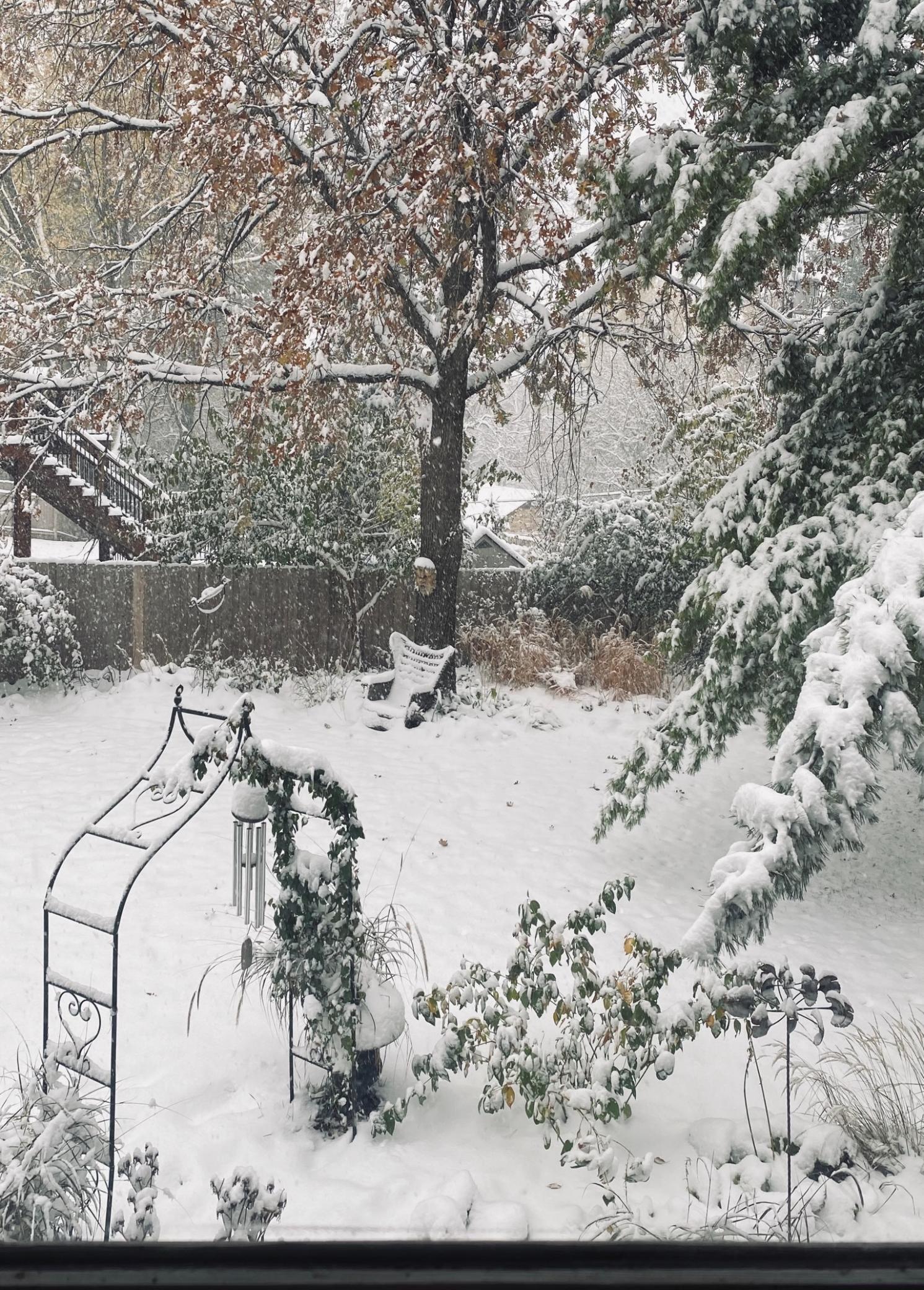 Beauty in all seasons