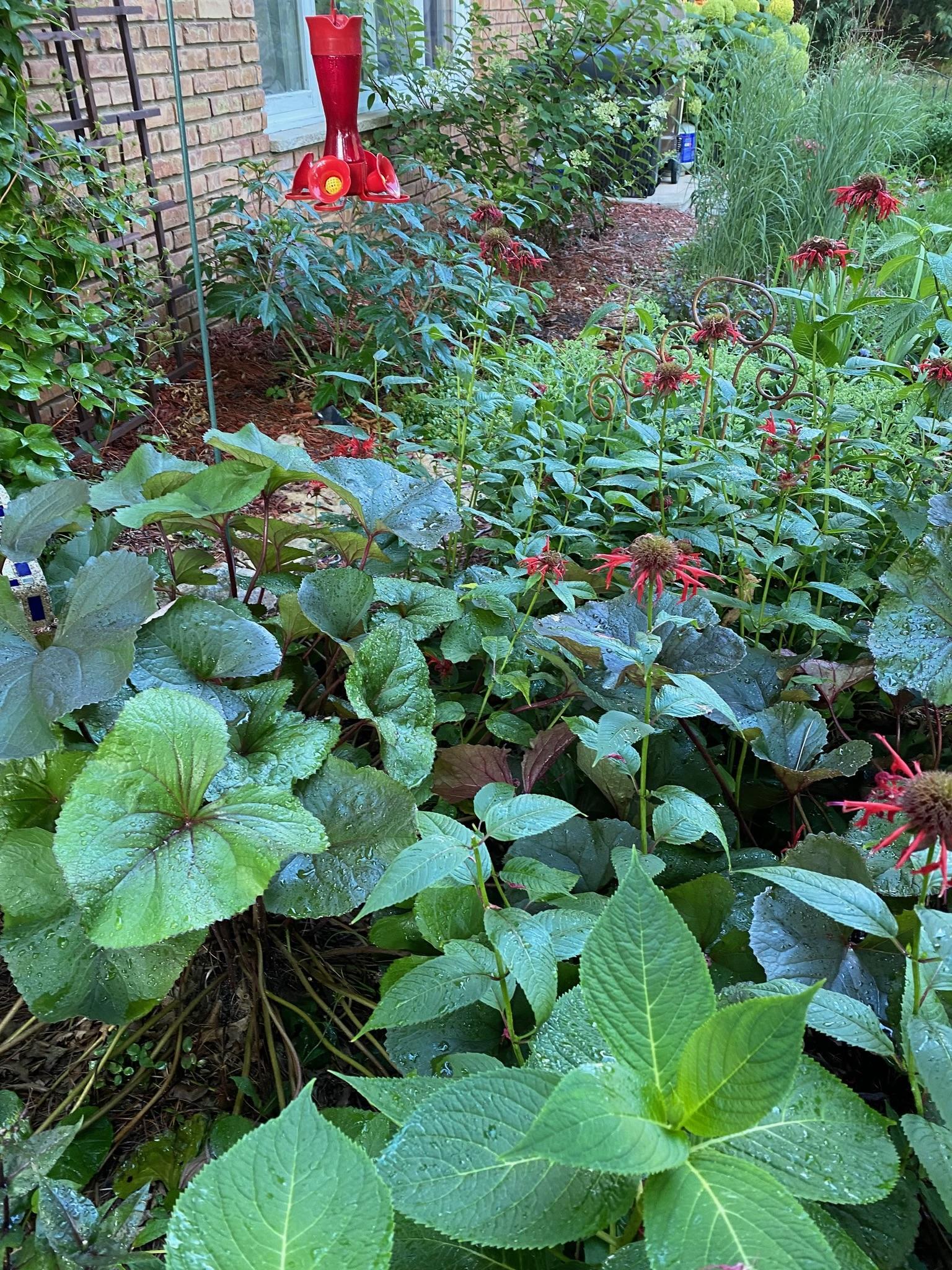 Carefully curated gardens