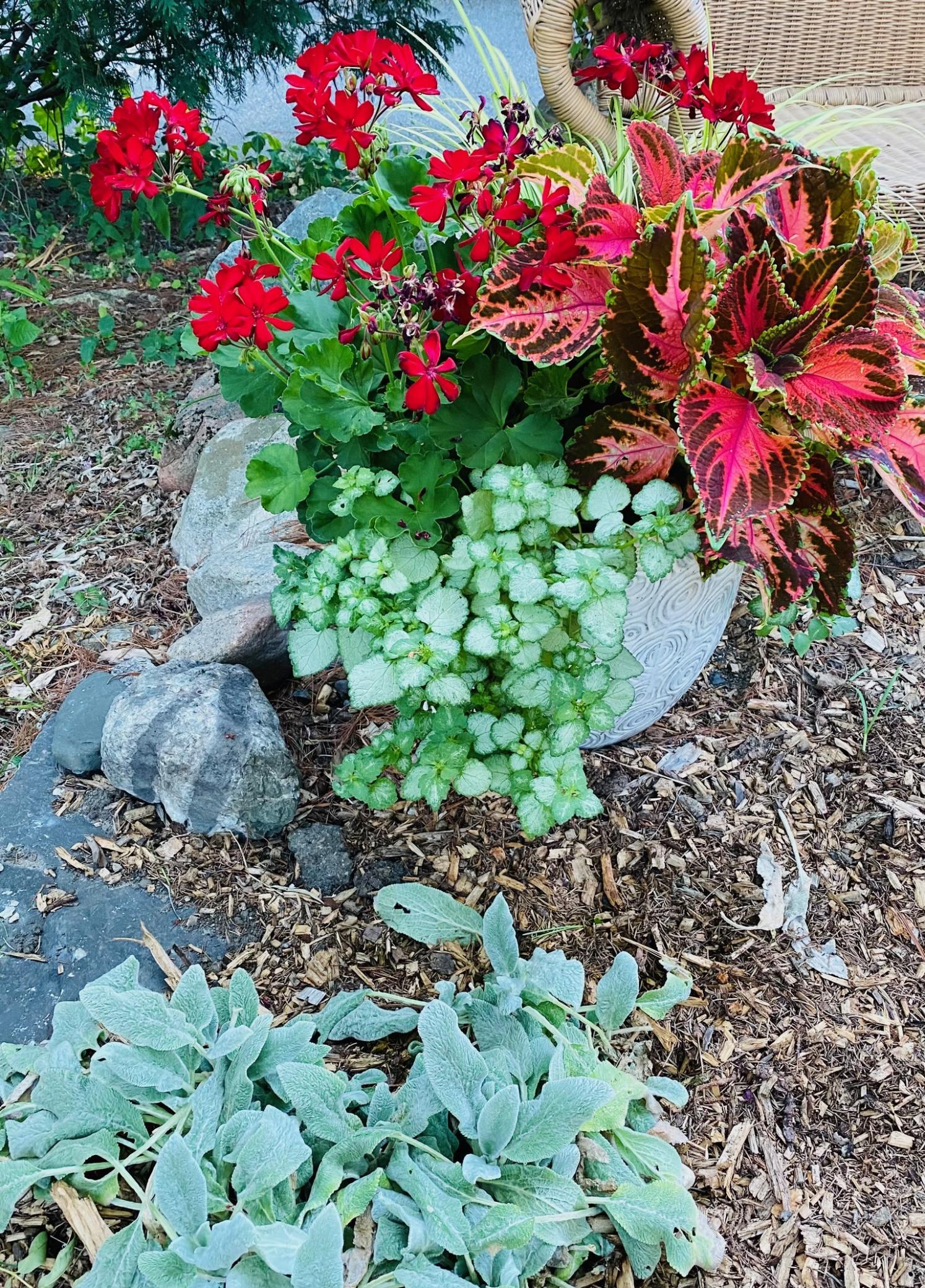 Pretty gardens