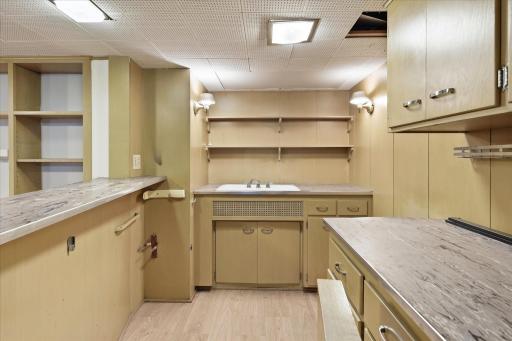 Lower Level Bar/Kitchenette