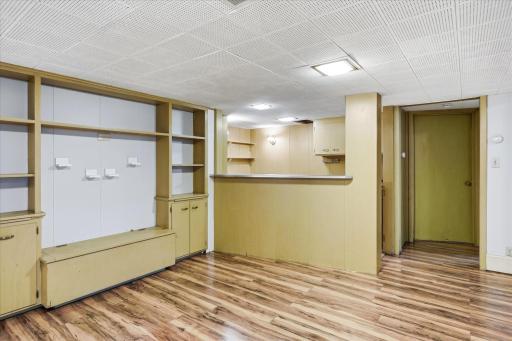 Amusement Room & Bar/Kitchenette