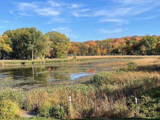 Fall Views