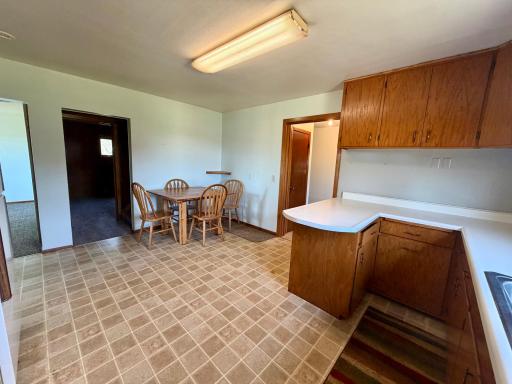 57736 370th Street, Mountain Lake, MN 56159