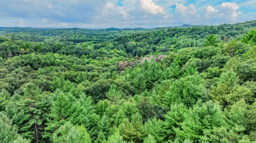 N8021 Allen Creek Road, Black River Falls, WI 54615