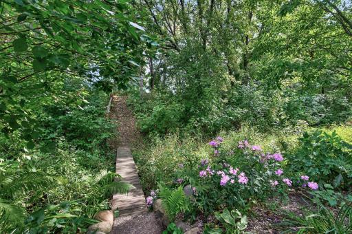 Little footbridge to take you over a small creek towards walking paths!