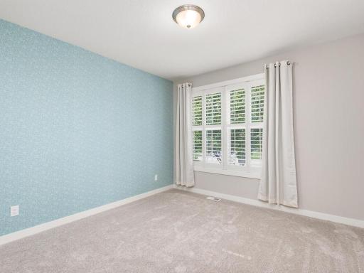 3936 Painted Sky Trail, Chaska, MN 55318