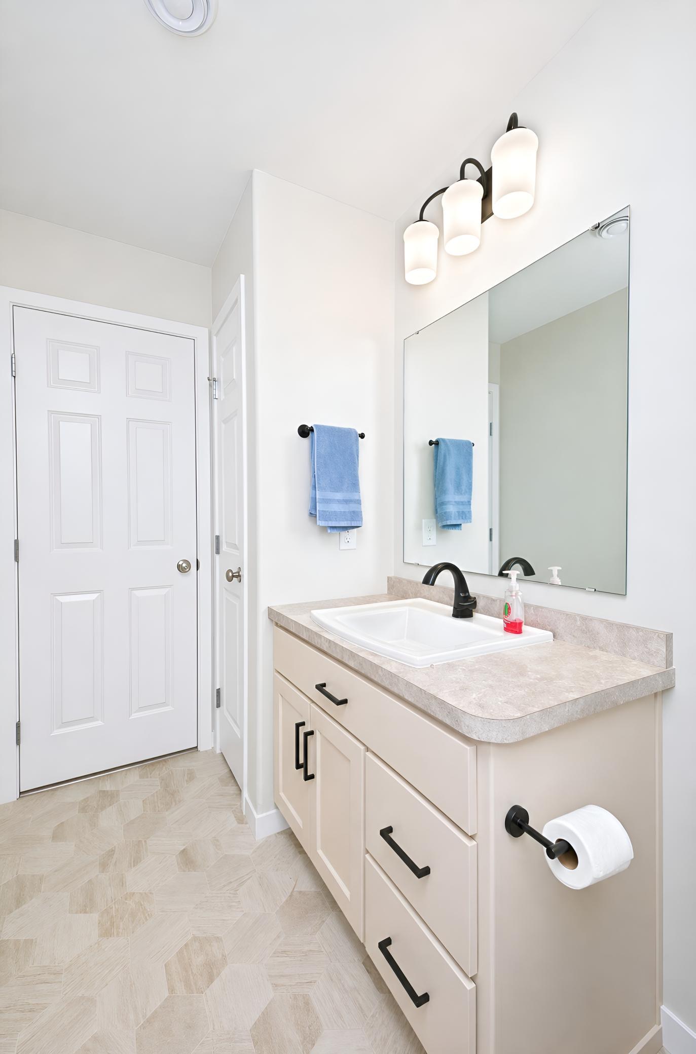 Lower Level Bathroom