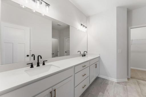 Dual sinks in the owner's suite, with a modern look.