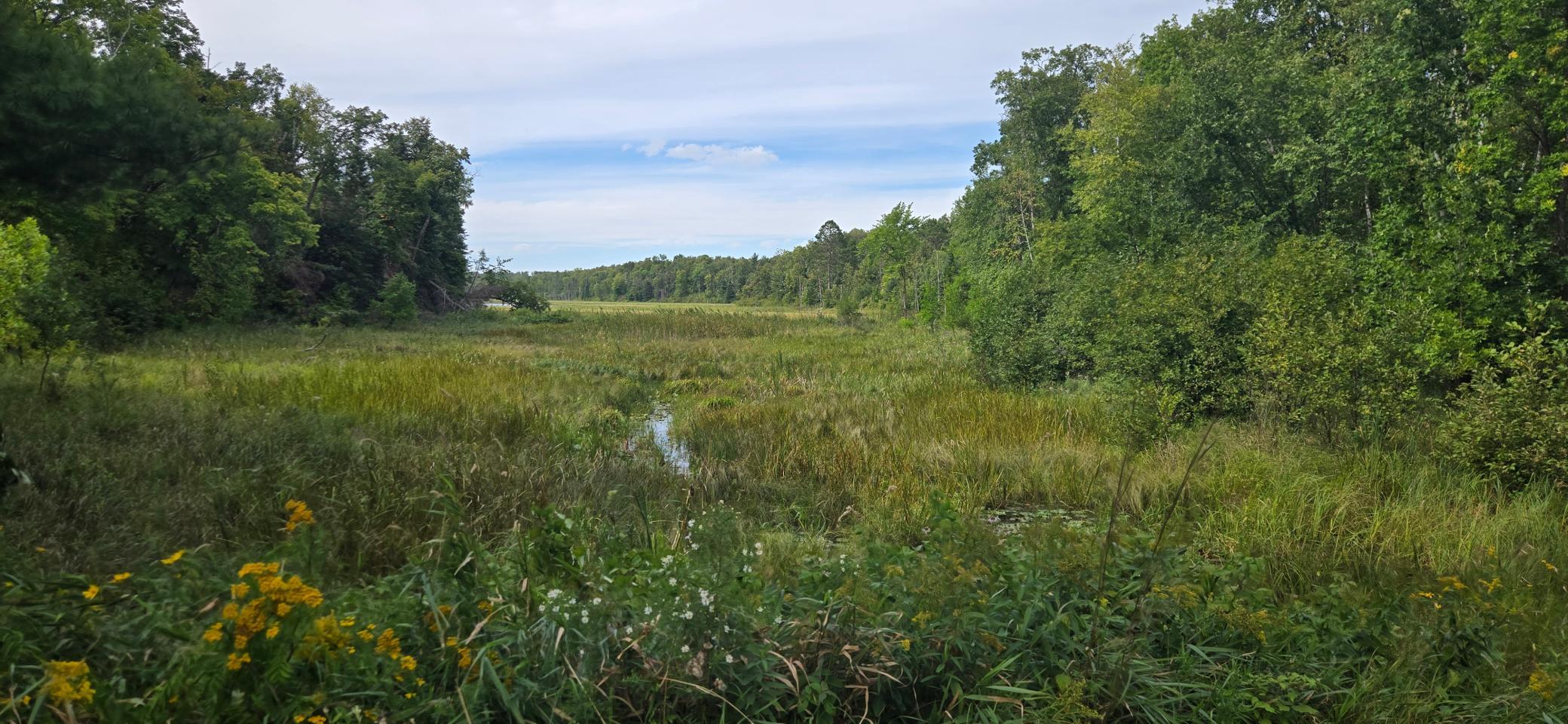 Shared Lot to Chippewa Ntl Forest.jpg