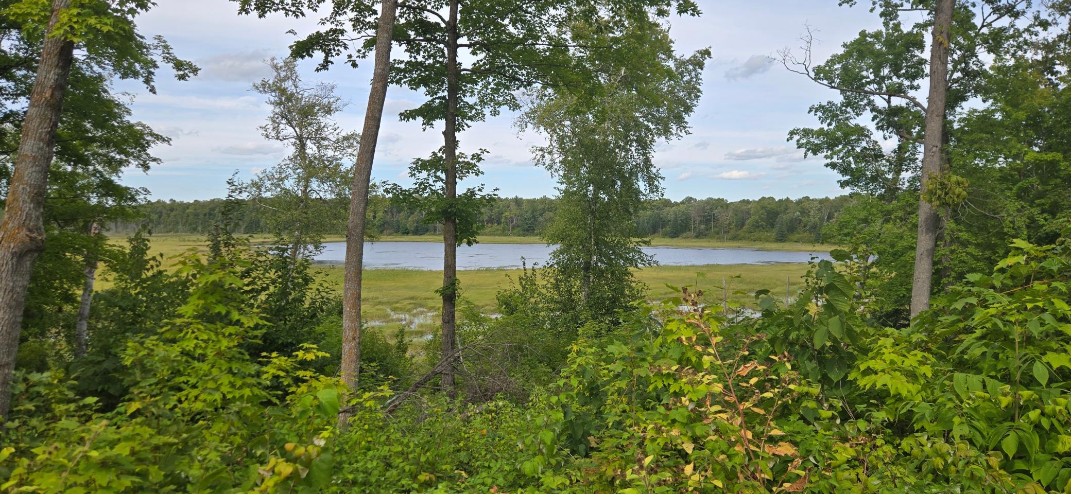 Chippewa National Forest View.jpg