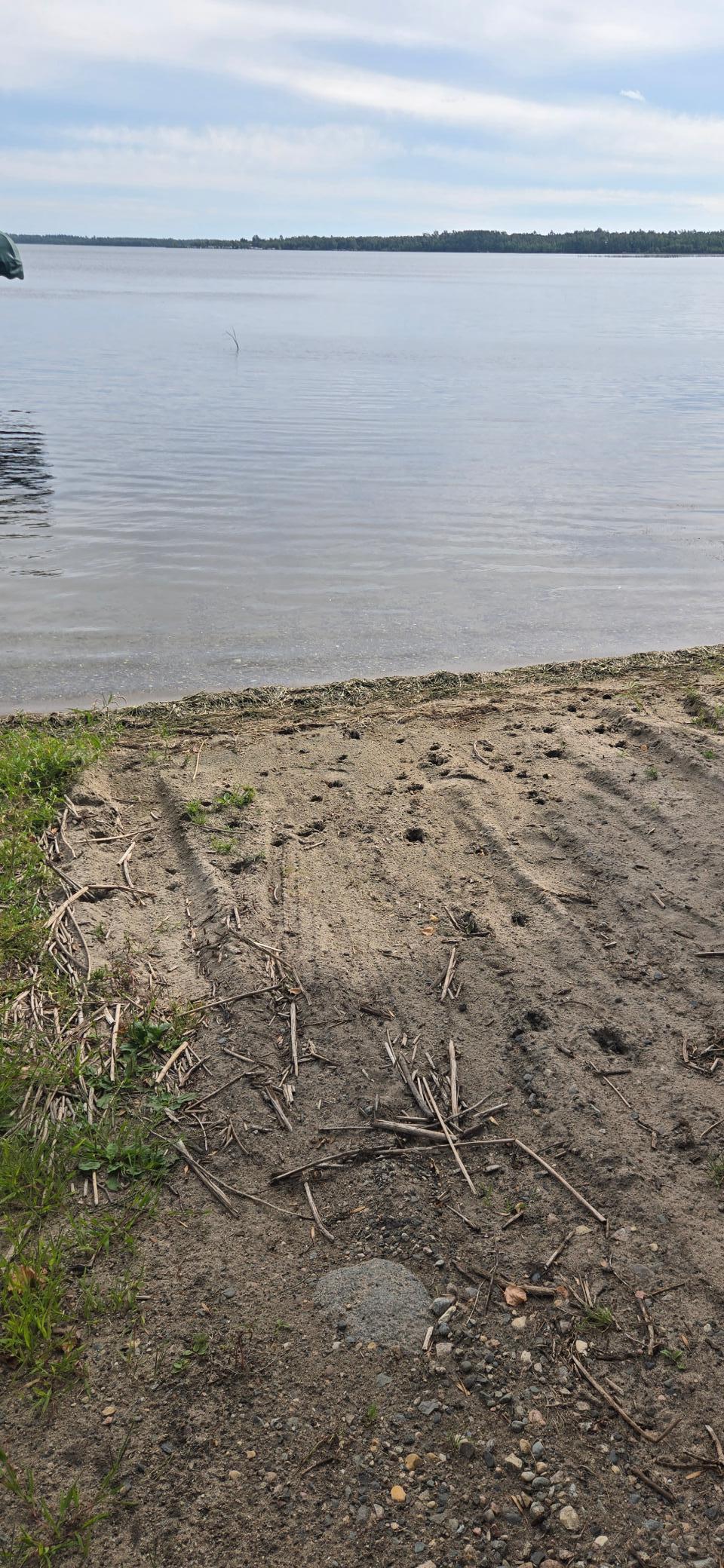 Lake Shore.jpg