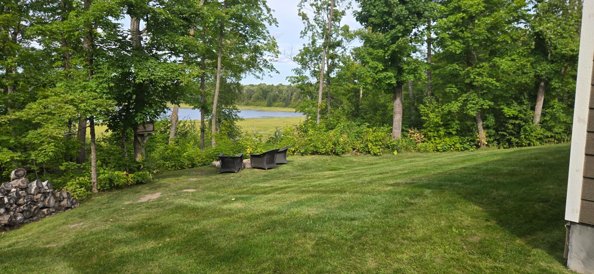 Backyard.jpg