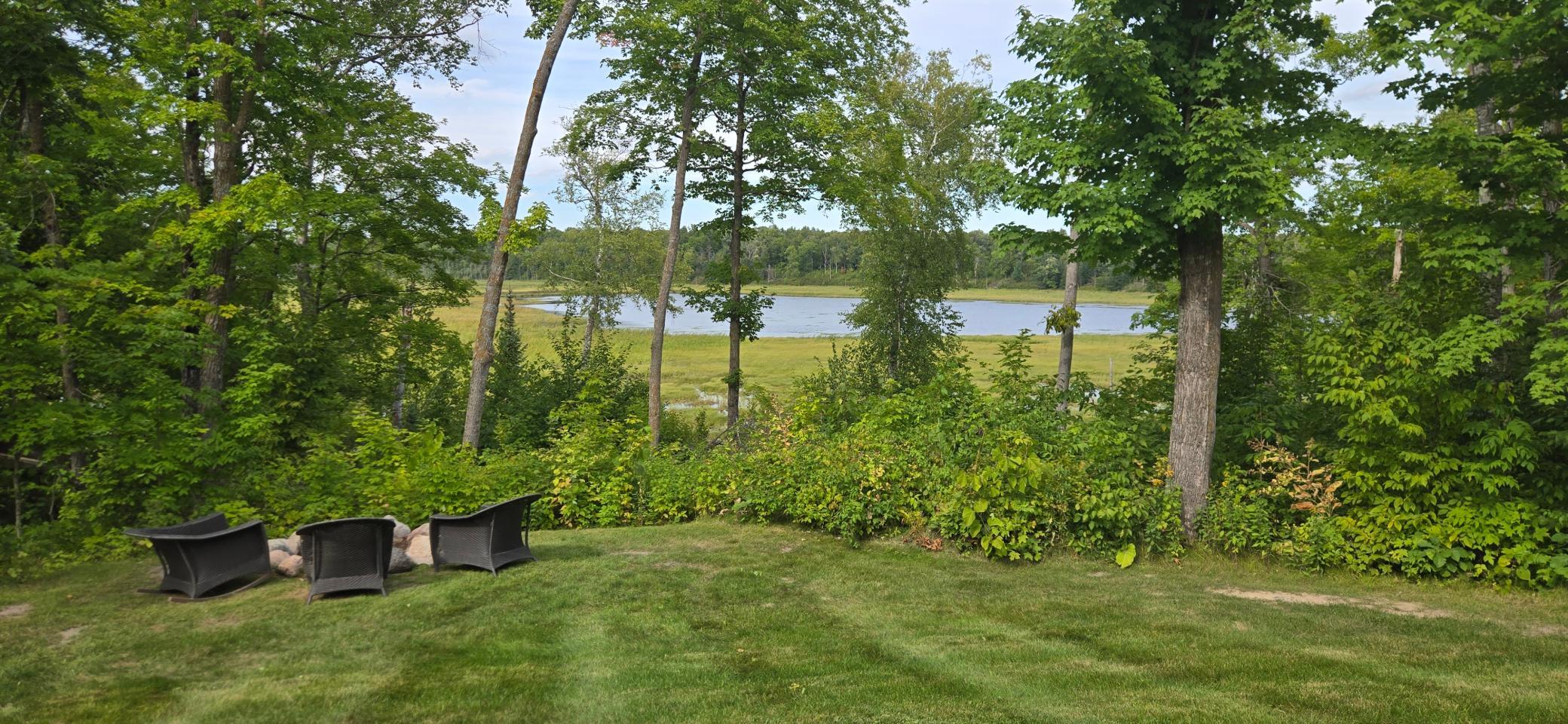 Backyard1.jpg