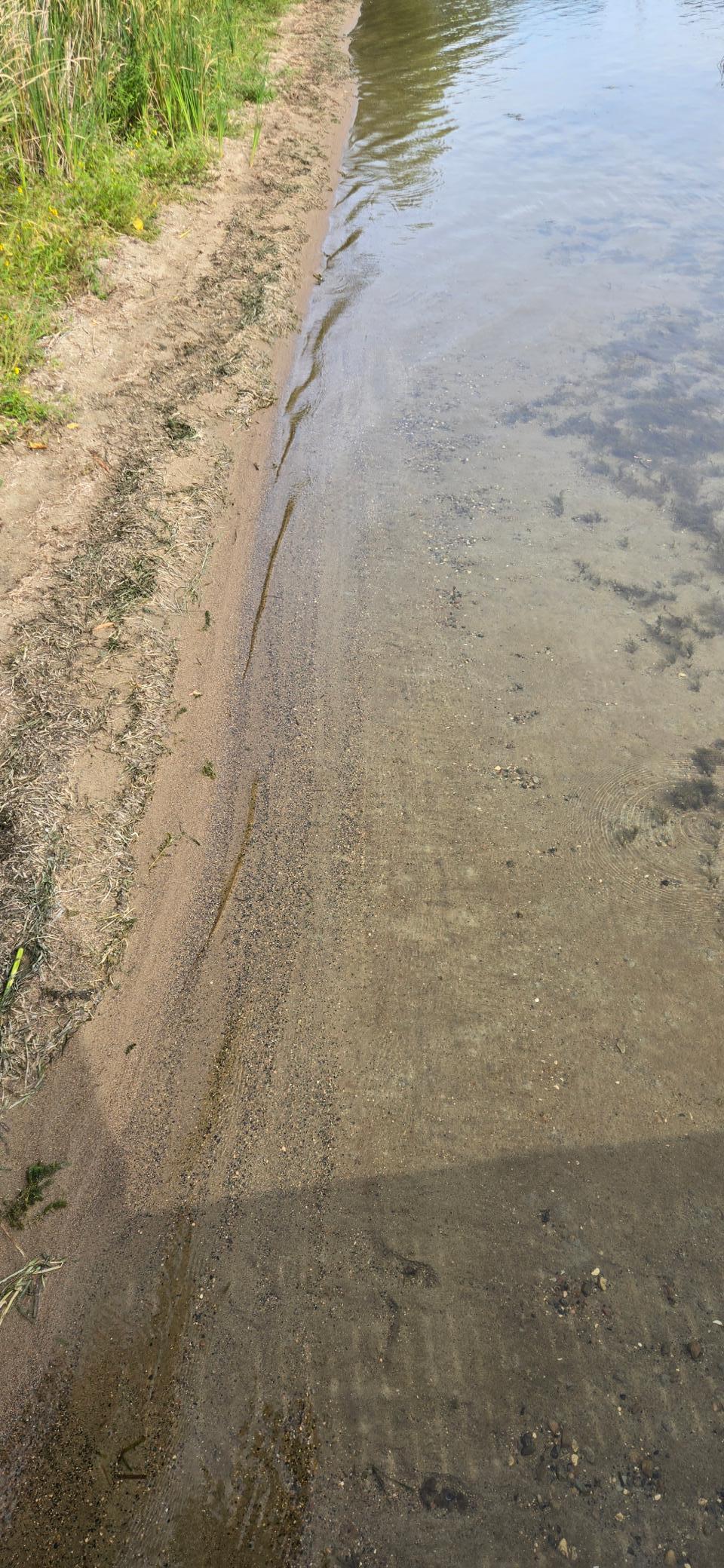 Sandy Lake Bottom.jpg