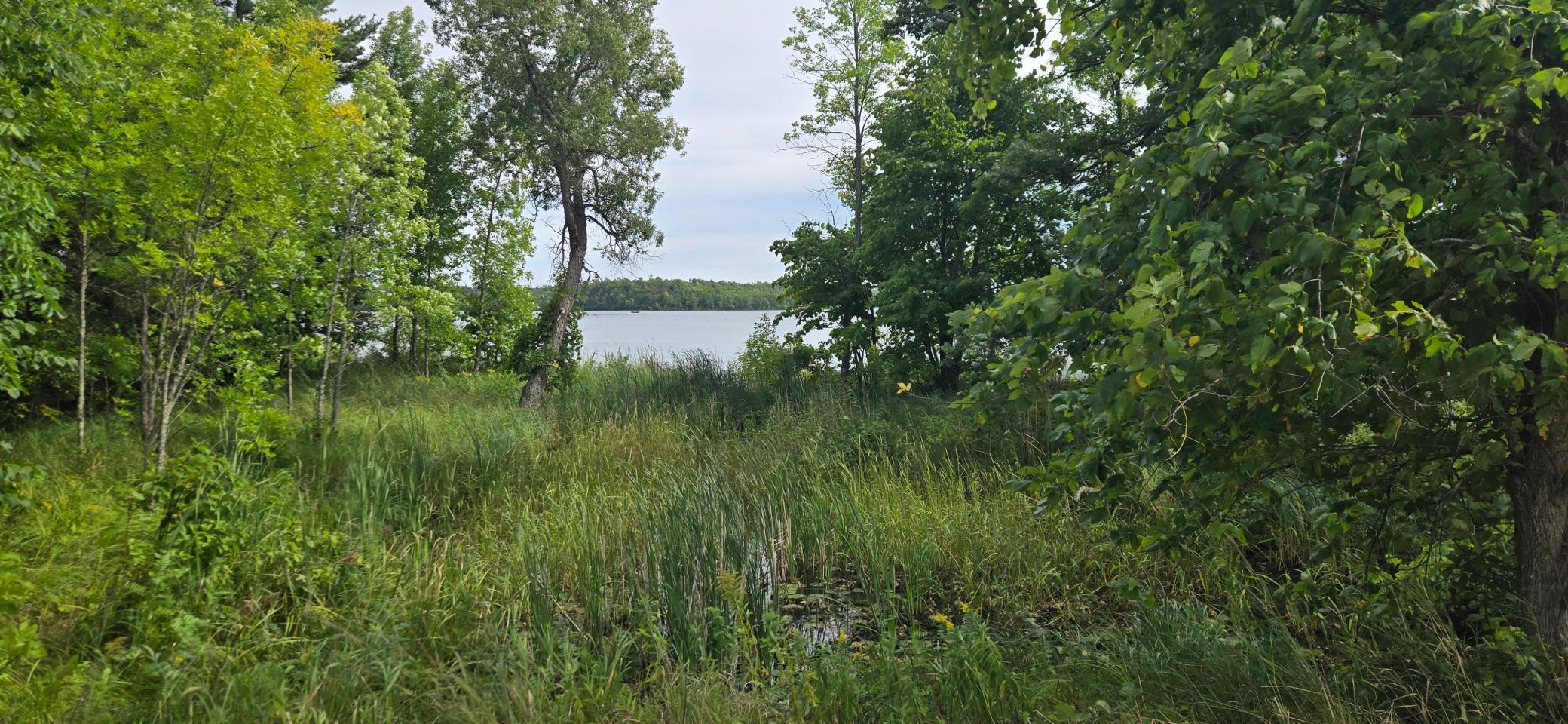 Shared Lot to Lake.jpg