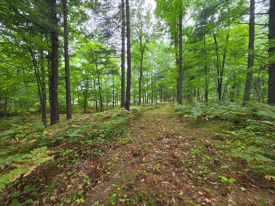 thumbnail (16).jpeg