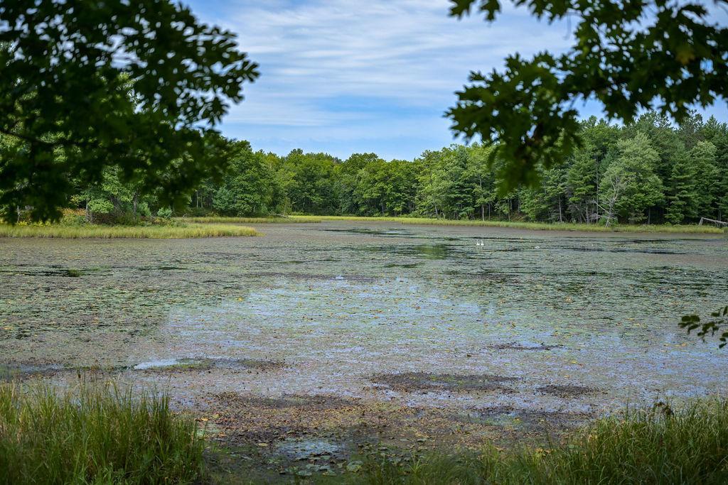 DSC_9266.jpg
