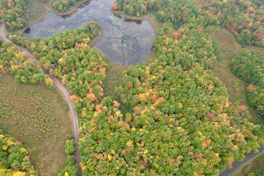 dji_fly_20260930_115848_617_1790787876028_photo.jpg