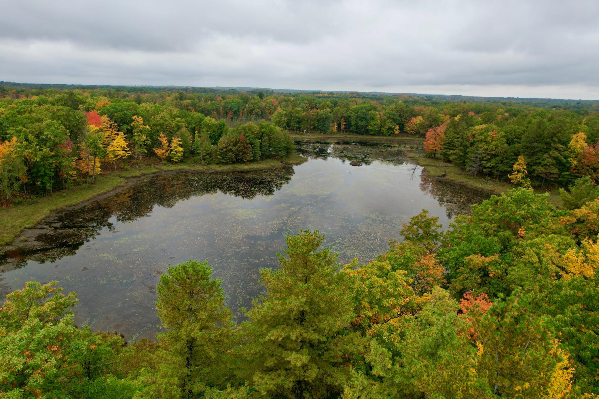 dji_fly_20260930_115554_613_1790787882779_photo.jpg