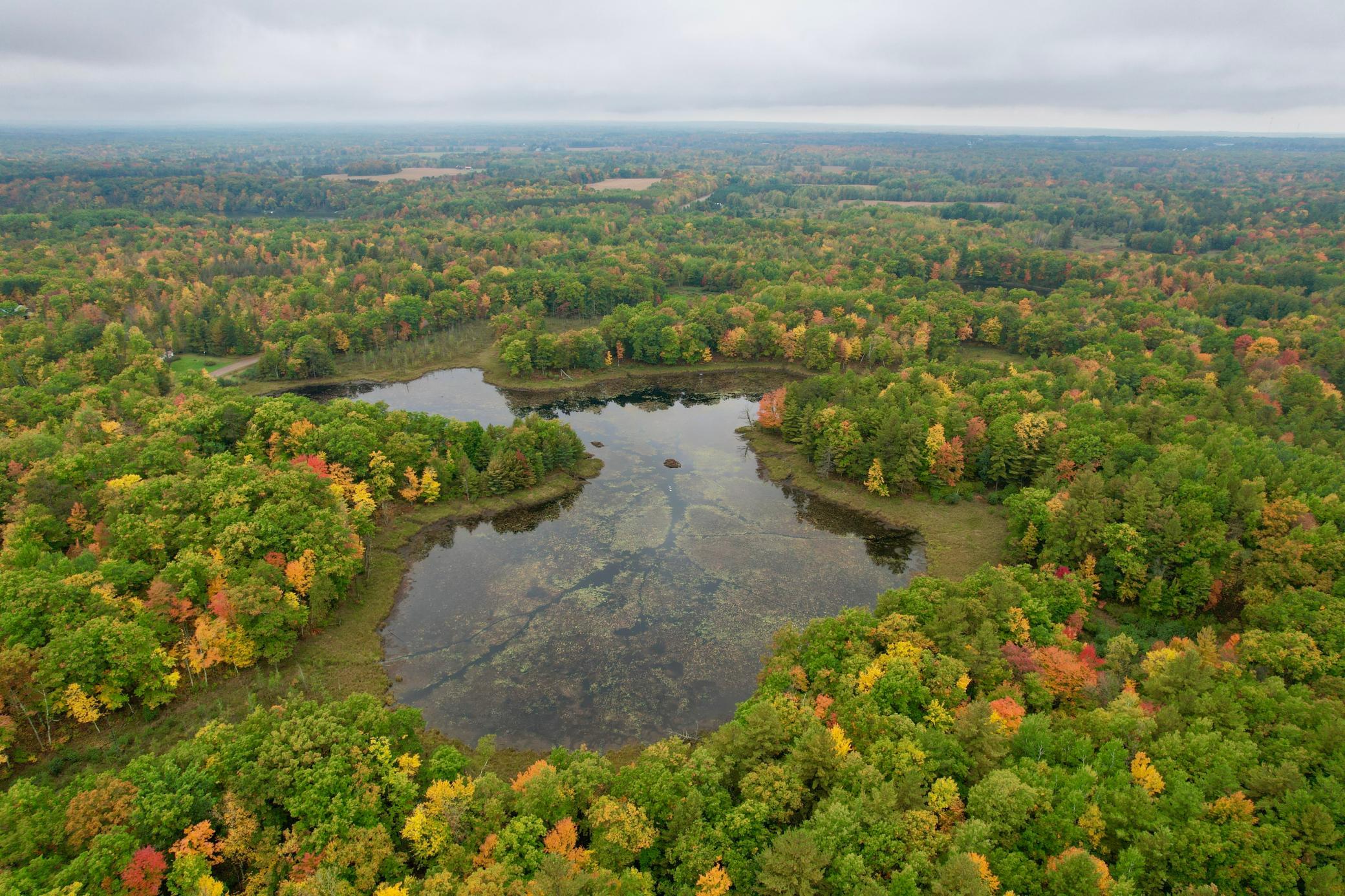 dji_fly_20260930_115642_614_1790787881140_photo.jpg