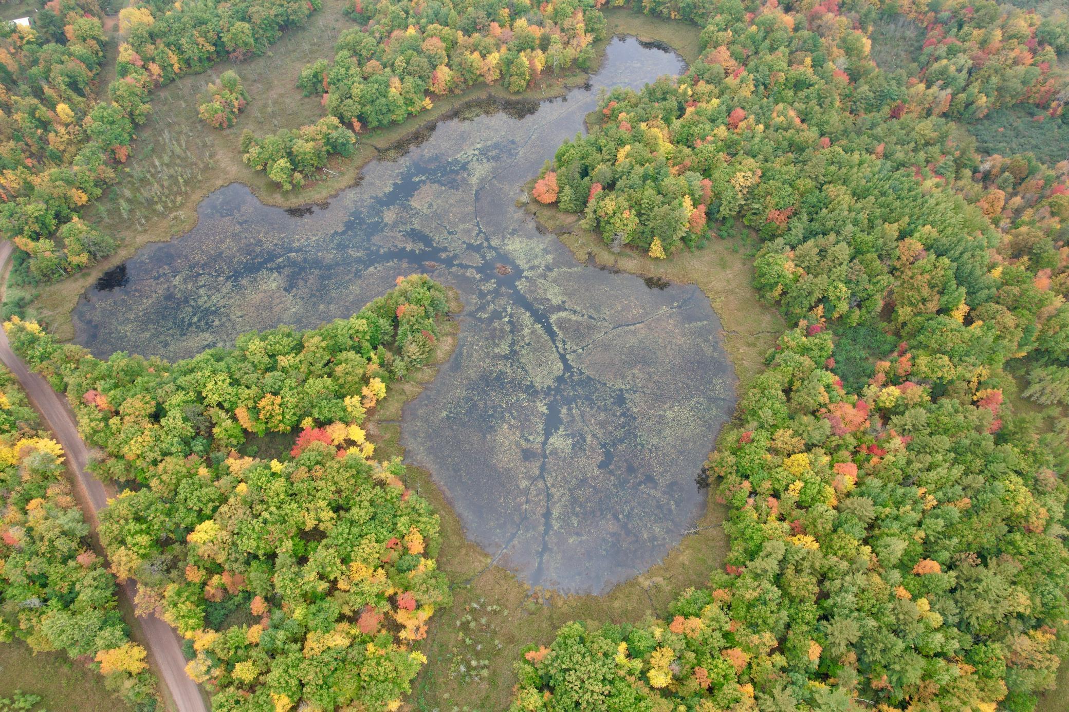 dji_fly_20260930_115912_618_1790787874030_photo.jpg