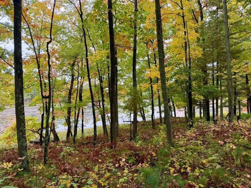 Property photo for 00 10 1/2-28 1/2, Barronett, WI 54813