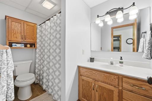 Lower level shared bathroom with a large vanity.