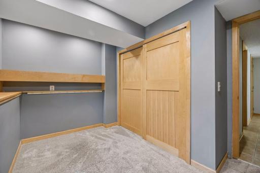 Lower level bedroom/office